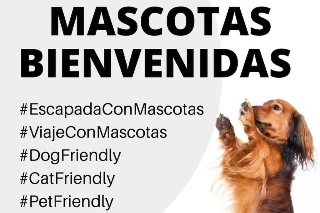La Caseta De Rotova - Casa Rural Para Desconectar Bagian luar foto