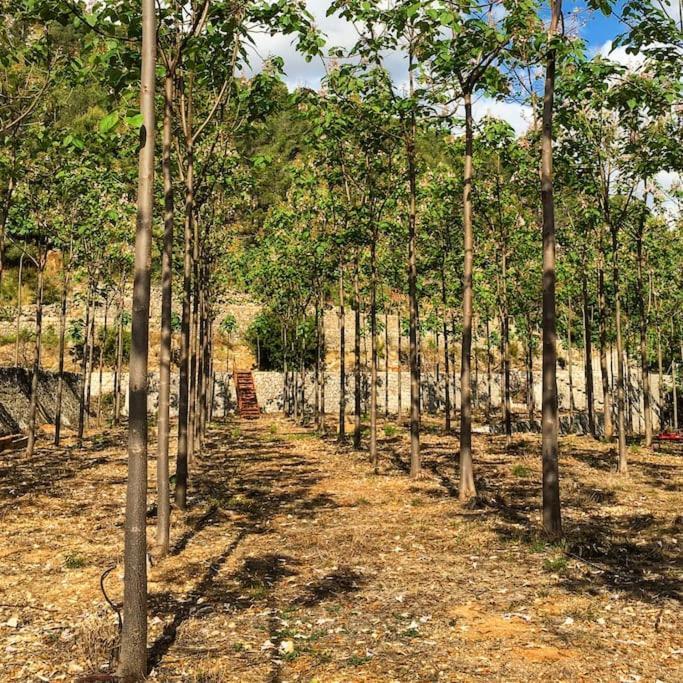La Caseta De Rotova - Casa Rural Para Desconectar Bagian luar foto