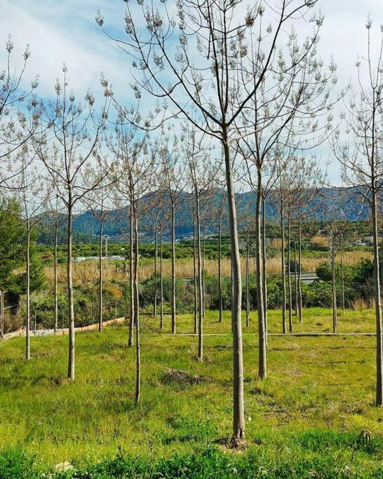 La Caseta De Rotova - Casa Rural Para Desconectar Bagian luar foto